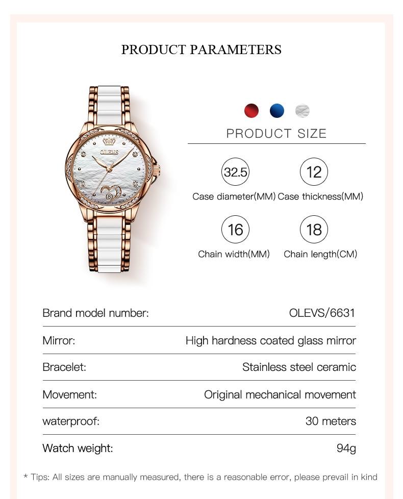 Luxury Waterproof Automatic Mechanical Gold Plated Watch - The Trendy Accessories Store