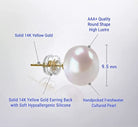14K Gold AAA+ White Freshwater Princess Pearl Earrings Studs - The Trendy Accessories Store