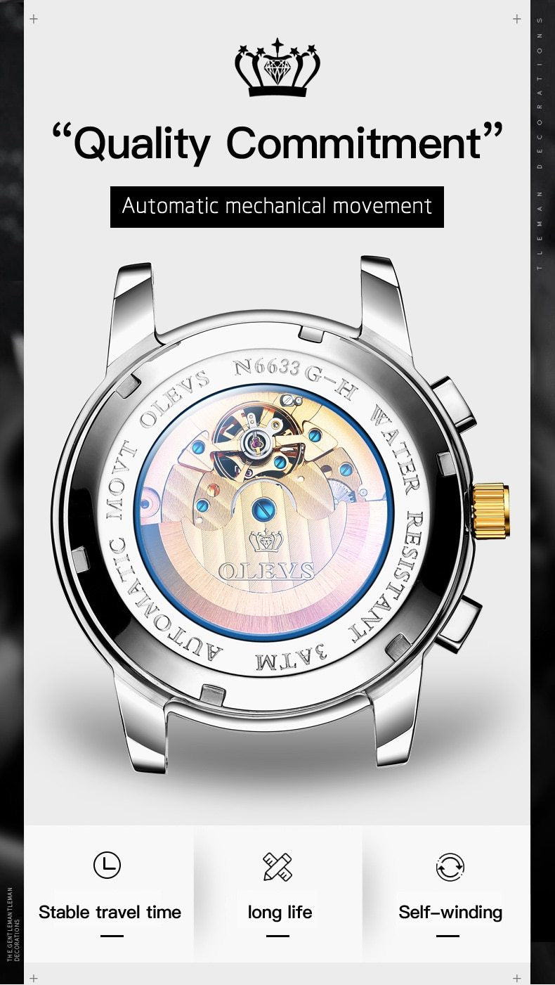 Automatic Green Luxury Stainless Steel Olves Watch - The Trendy Accessories Store