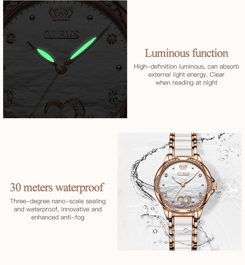 Luxury Waterproof Automatic Mechanical Gold Plated Watch - The Trendy Accessories Store