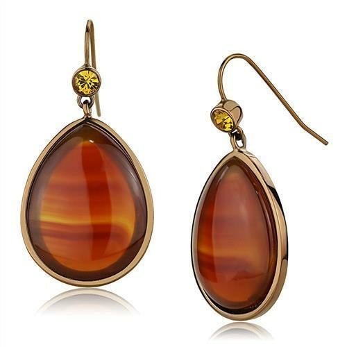 Coffee light Stainless Steel Earrings with Semi-Precious Stone - The Trendy Accessories Store